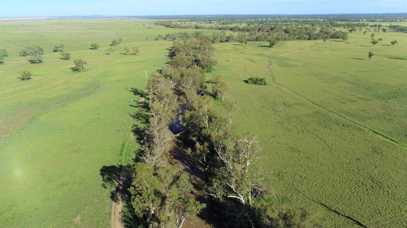 Photo - 'Yarrum' 930A Southern Road, Roma QLD 4455 - Image 6