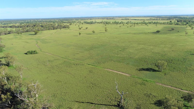 Photo - 'Yarrum' 930A Southern Road, Roma QLD 4455 - Image 7