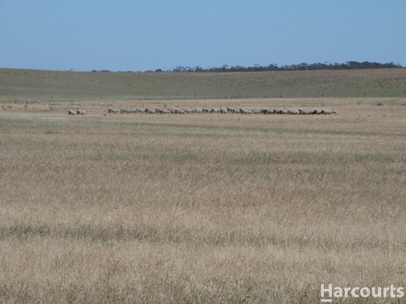 Photo - . Yarto - Speed Road, Patchewollock VIC 3491 - Image 9