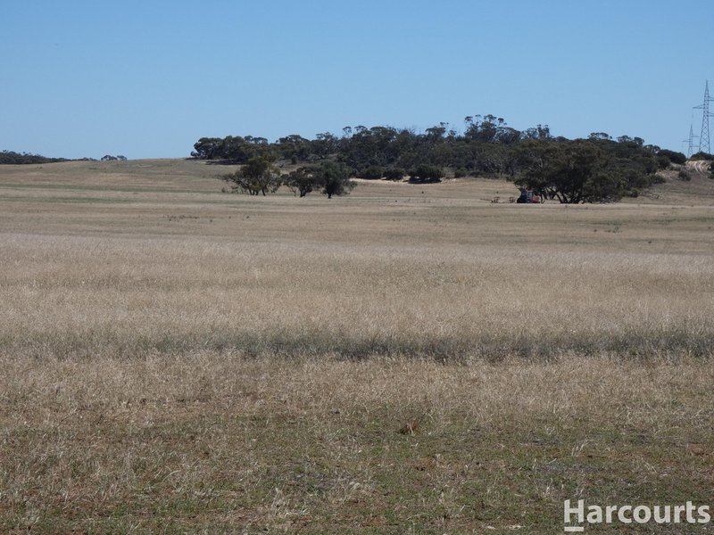 Photo - . Yarto - Speed Road, Patchewollock VIC 3491 - Image 10