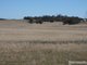 Photo - . Yarto - Speed Road, Patchewollock VIC 3491 - Image 10