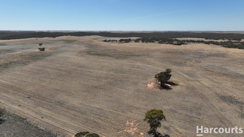 Photo - . Yarto - Speed Road, Patchewollock VIC 3491 - Image 12