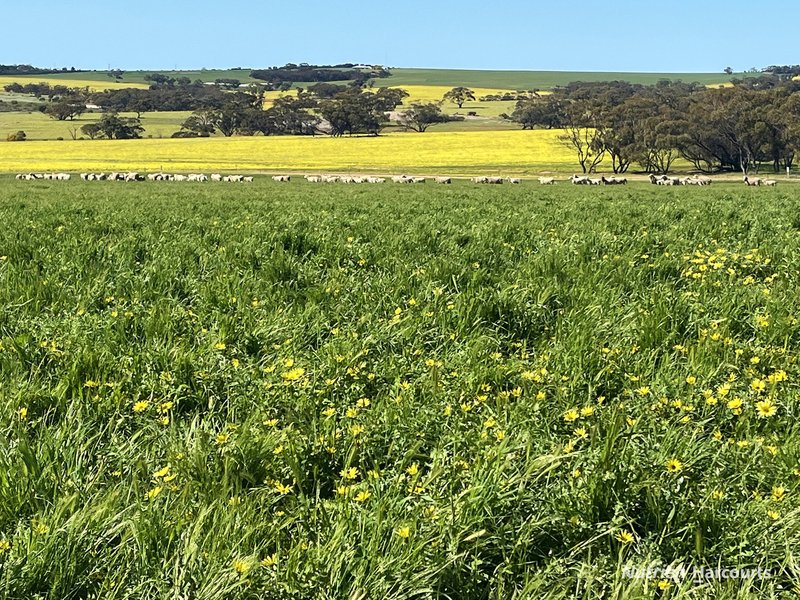 Photo - . 'Yooralling' , Cunderdin WA 6407 - Image 2