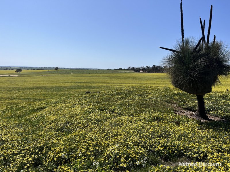 Photo - . 'Yooralling' , Cunderdin WA 6407 - Image 4