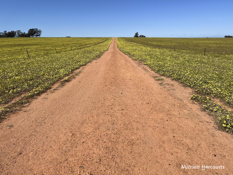 Photo - . 'Yooralling' , Cunderdin WA 6407 - Image 12