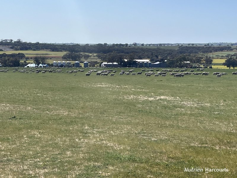 Photo - . 'Yooralling' , Cunderdin WA 6407 - Image 13