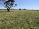 Photo - . 'Yooralling' , Cunderdin WA 6407 - Image 14