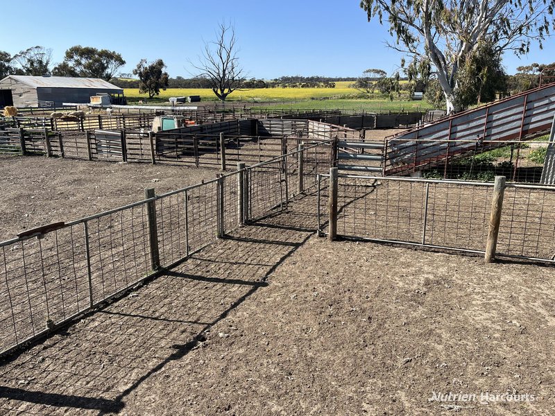 Photo - . 'Yooralling' , Cunderdin WA 6407 - Image 21