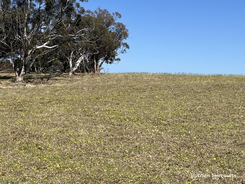 Photo - . 'Yooralling' , Cunderdin WA 6407 - Image 7