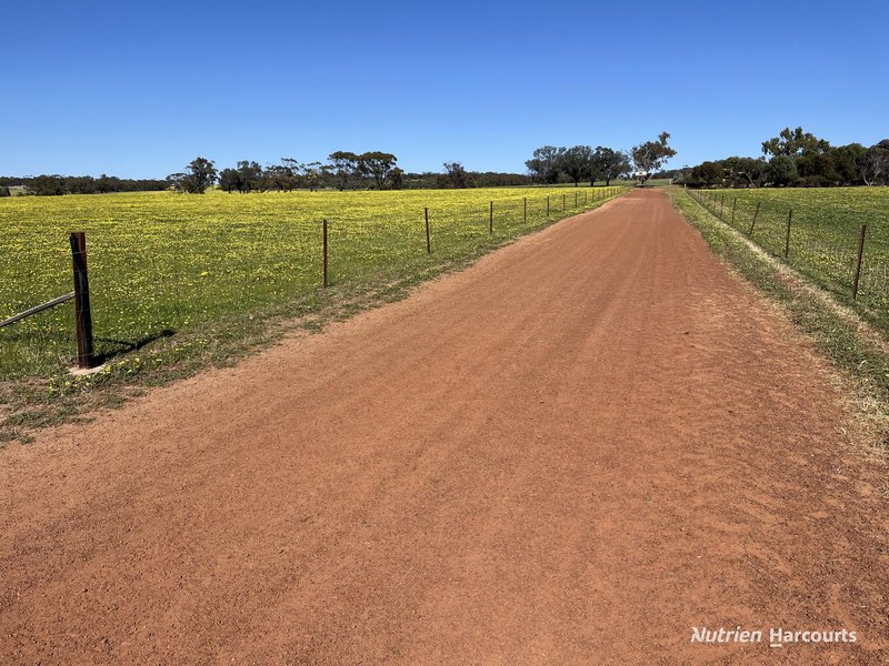 Photo - . 'Yooralling' , Cunderdin WA 6407 - Image 25