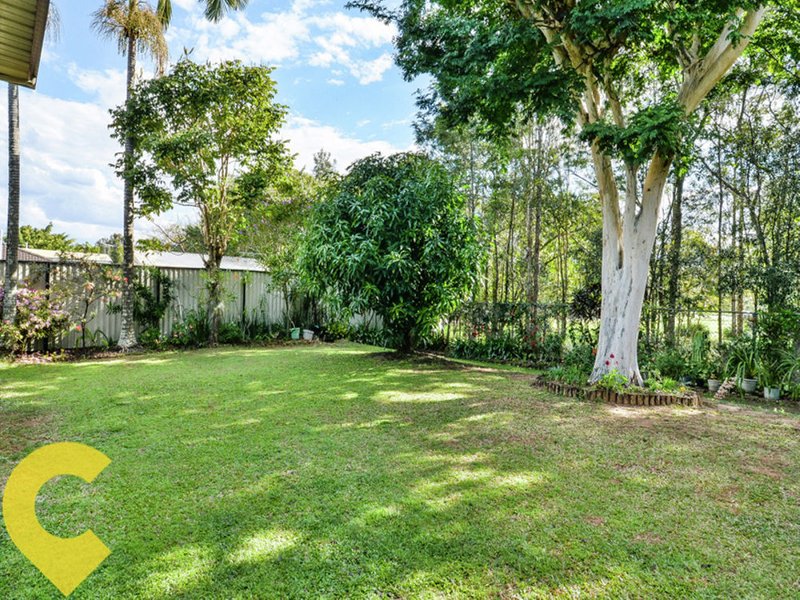 Photo - z6 Ballynde Street, Bracken Ridge QLD 4017 - Image 6